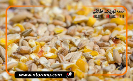 کنجاله سویا و اهمیت استفاده از آن در تغذیه طیور و پرندگان